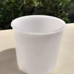 Forma para queijo minas vegetal 250 gr - Loja Pensando ao Contrário