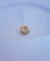 Piercing Fake Circonitas G en internet