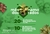 Banner de Aglaonemas Brasil
