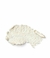 Esfoliante Corporal Pineapple & Shea Glow Victoria's Secret - 368g - comprar online