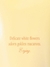 Hidratante Corporal Sugared Petals Victoria's Secret Novo Lançamento - 236ml - comprar online