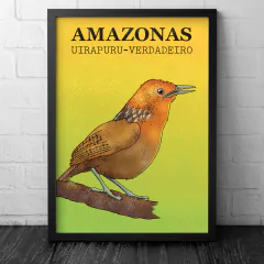 Poster do pássaro Uirapuru-Verdadeiro.