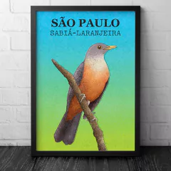 Sabiá-Laranjeira, Turdus rufiventris