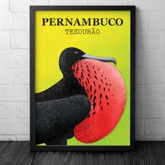 Pôster pássaro Tesourão, Pernambuco.