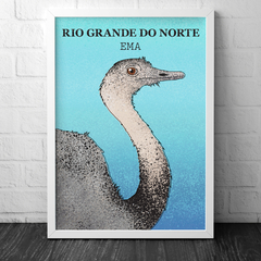 Pôster Pássaro Ema,  ave símbolo do Rio Grande do Norte