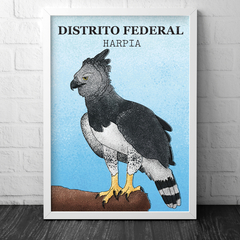 Pássado Harpia, Harpia harpyja