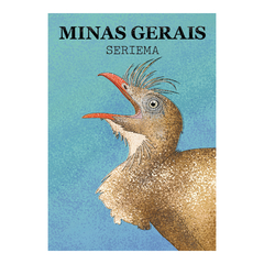 24 Pôsteres Pássaros do Brasil - comprar online