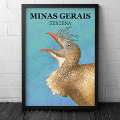 Seriema, Minas Gerais