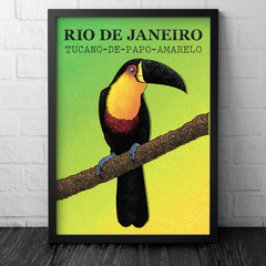 Pôster tucano-de-papo-amarelo, Ramphastos vitellinus