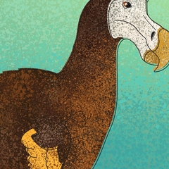 Pôster Pássaro Dodô, de nome científico Raphus cucullatus.