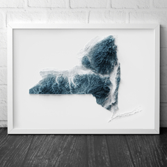 Mapa Topográfico de Nova Iorque