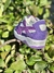 Zapatillas Puma 180 - Keloke ind