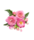 Banner de Floricultura Sempre Viva