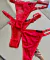 Imagen de Pack x3 de less rojo 17 (Lili Intimates)