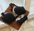 Conjunto Alma Negro