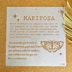 CE Mariposa 30x30 Stencil Caro esta - comprar online