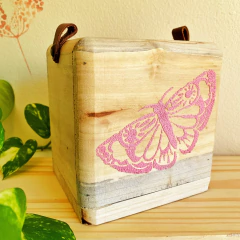 Pintura NUBE INCOLORA 100g - Caro está?