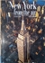 LIVRO, NEW YORK FROM THE AIR, ANTONIO ATTINI, PETER SKINNER