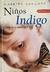 LIVRO, NIÑOS ÍNDIGO, GABRIEL SÁNCHEZ