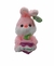 842 P. Coelho Rosa