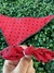 CONJUNTO DE TECIDO BANDANAS E LAÇOS PIN UP 2 na internet