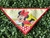 BANDANAS MÉDIA MINIE 2025 SORTIDAS - comprar online