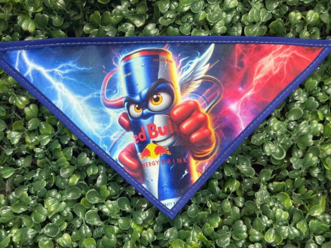 BANDANAS MÉDIAS MACHO 2025B - comprar online