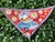 BANDANAS PEQUENAS SORTIDAS MACHO E FEMEA 2025 - comprar online