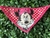 BANDANAS PEQUENAS SORTIDAS MACHO E FEMEA na internet