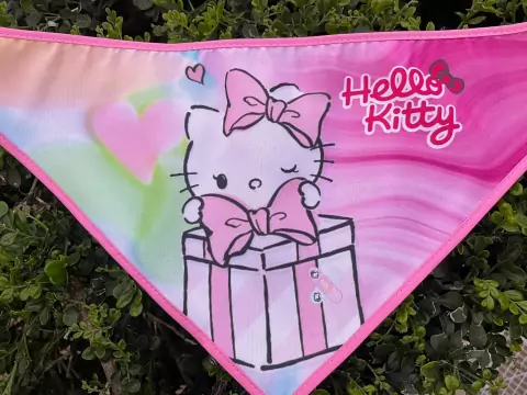 BANDANAS GRANDE SORTIDAS MACHO E FEMEA 01