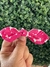LAÇOS PIN UP SORTIDOS 01 - loja online