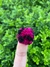 POMPOM PINK E PRETO