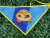 BANDANAS MINIONS SORTIDAS - PetShow