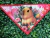 BANDANAS CAPIVARA SORTIDAS - PetShow