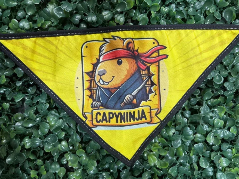BANDANAS CAPIVARA SORTIDAS - comprar online