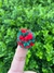 POMPOM VERMELHO E VERDE