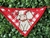 BANDANAS PEQUENAS SORTIDAS MACHO E FEMEA - comprar online
