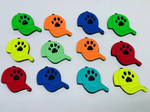 ADESIVO BONÉ COM PATINHA 2024