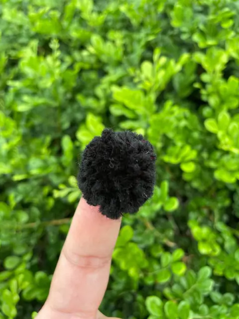 POMPOM PRETO