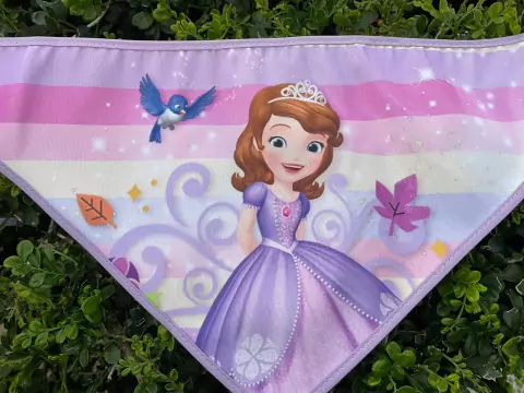 BANDANAS GRANDE SORTIDAS MACHO E FEMEA 02