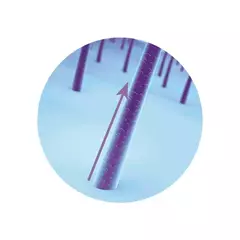 Tônico Capilar Siàge Acelera O Crescimento 65ml - comprar online