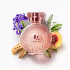 Liz Sublime Desodorante Colônia 100ml - loja online