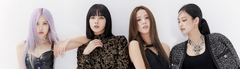 Banner de la categoría blackpink
