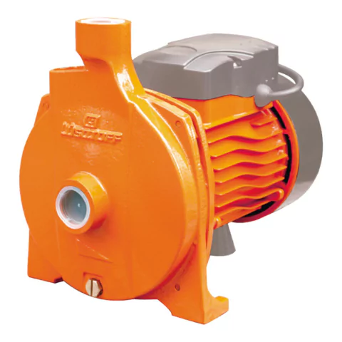 Bomba Centrífuga 0.75HP 750W Lusqtoff CPM158