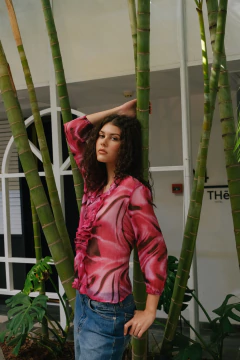 Imagen de Blusa Spring