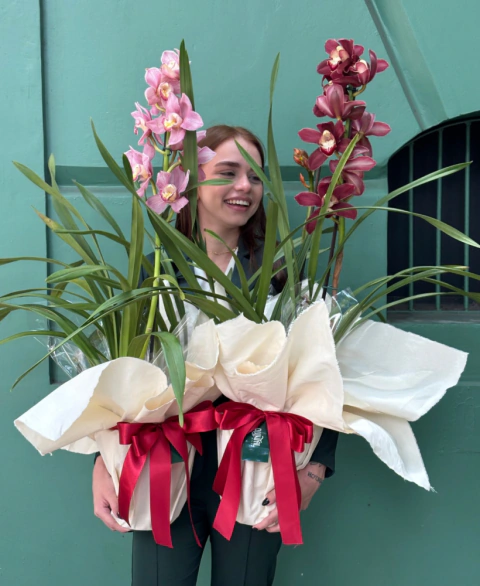 Orquídea Cymbidium