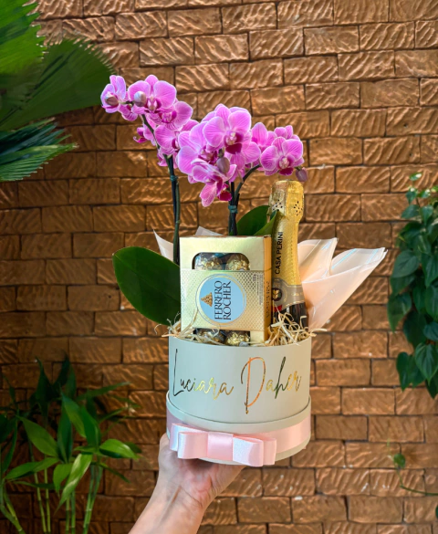 Box de Orquídeas + Chocolate + Espumante c/ Personalização - comprar online