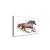 Quadro Colorful Horse - comprar online