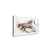 Imagem do Quadro Colorful Horse