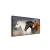 Quadro Familia Horse - comprar online